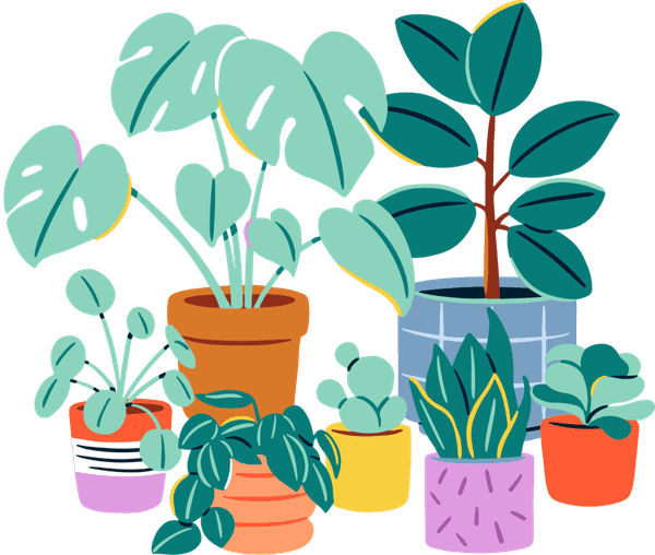Illustration of a potted plant
